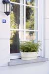 greenville pflanzgefäß lang 50cm weiss